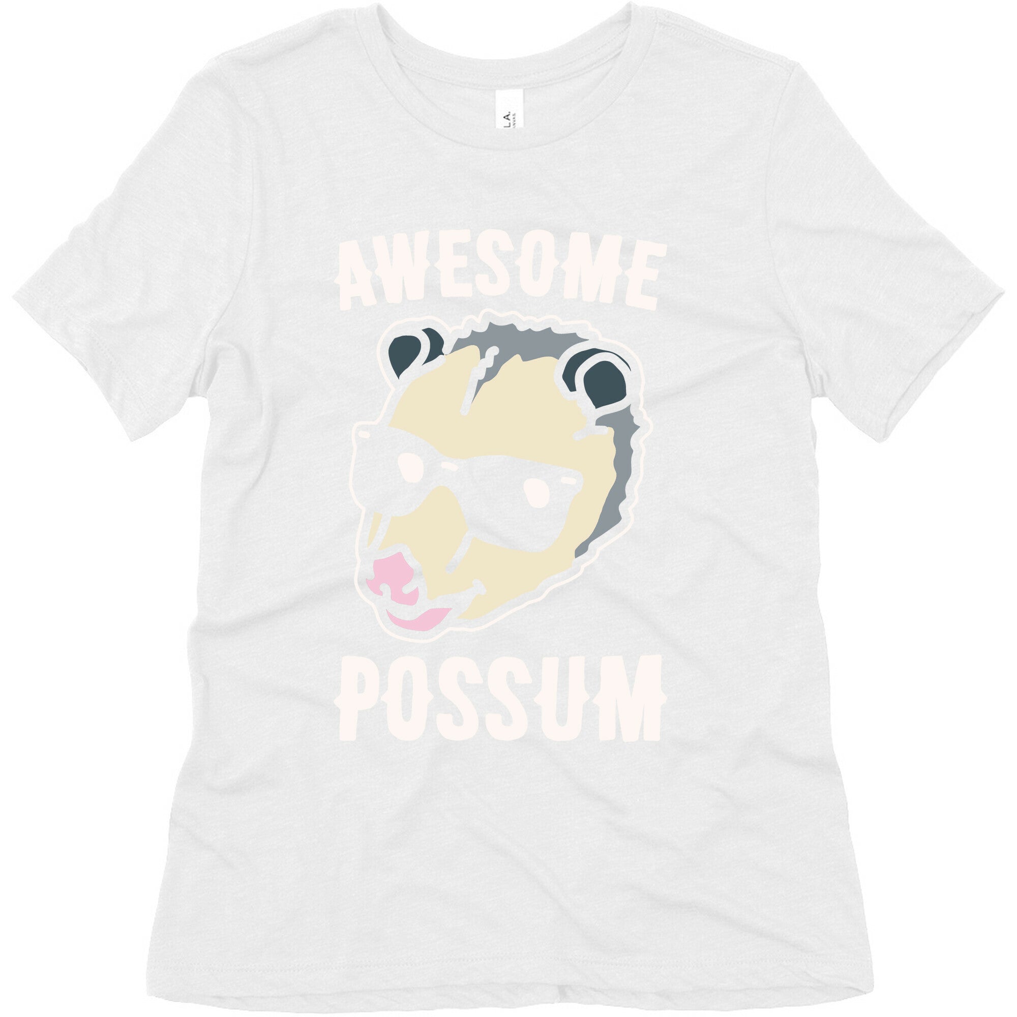 Awesome Possum White Print Women's Triblend Tee